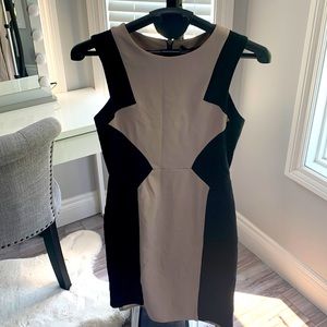 BCBG Dress